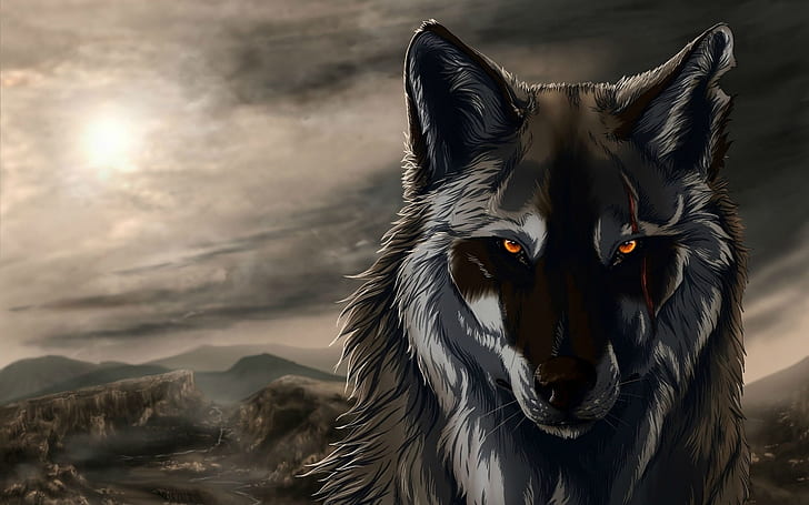 Wolf HD, schwarzer und grauer Wolf, digital / Grafik, Wolf, HD-Hintergrundbild