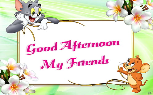 Tom y Jerry te desean buenas tardes Mis amigos fondo de pantalla de escritorio para teléfonos móviles Tablet y PC 2560 × 1600, Fondo de pantalla HD HD wallpaper