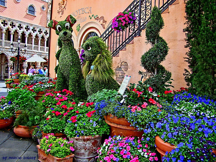 Disney, flores, jardín, h jpg, dama, vagabundo, Fondo de pantalla HD |  Wallpaperbetter
