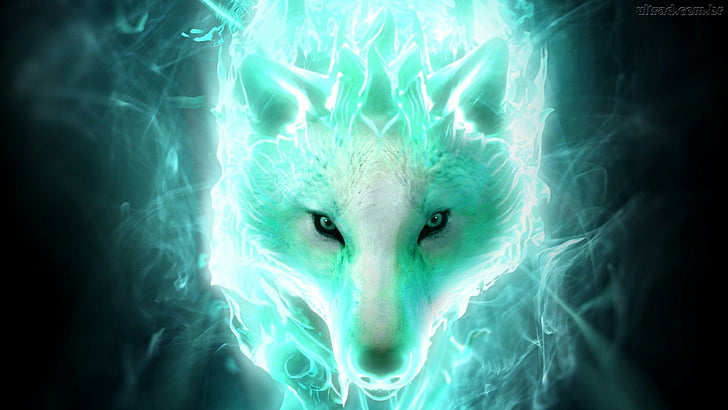 phenomenon, wolf, special effects, flames, darkness, cg artwork, graphics, HD wallpaper