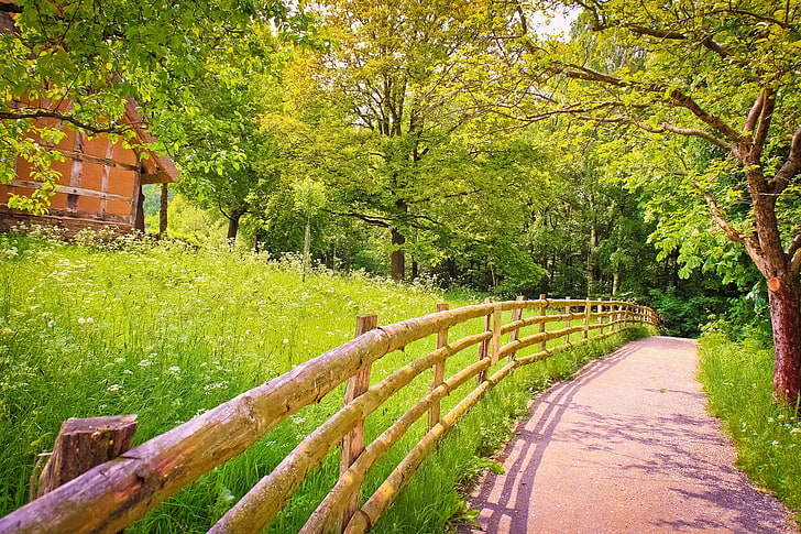 brown wooden fence, road, greens, summer, grass, trees, nature, the fence, shadow, wooden, house, HD wallpaper