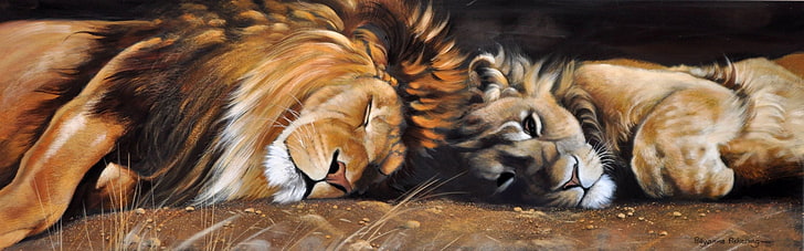 brown lion illustration, animals, cats, sleep, predators, picture, Leo, art, mane, lioness, wild, Pollyanna Pickering, HD wallpaper