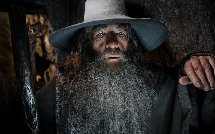 Gandalf, The Hobbit, The Hobbit: The Desolation of Smaug, Ian McKellen, men, actor, wizard, HD wallpaper