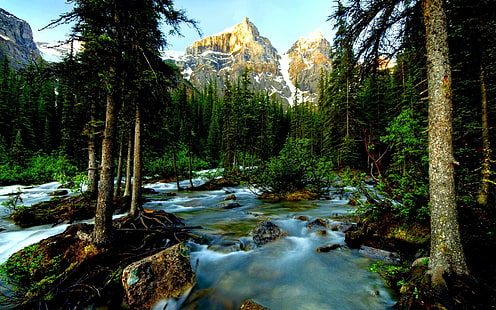 Park Narodowy Banff, kanada, fotografia krajobrazowa, kanada, banff, park, kraj, przyroda i krajobrazy, Tapety HD HD wallpaper