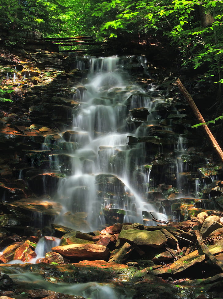 time lapse photography of waterfall falling from layered rocks in between plants and trees during daytime, dutchman, dutchman, Dutchman, Run, time lapse photography, waterfall, layered, rocks, in between, plants, trees, daytime, Pennsylvania, Lycoming County, Loyalsock State Forest, Wild, Area, Sullivan, Endless Mountains, hiking, creek, stream, cascades, moss  forest, trestle, ravine, summer, creative commons, nature, forest, tree, water, outdoors, leaf, river, rock - Object, tropical Rainforest, beauty In Nature, HD wallpaper