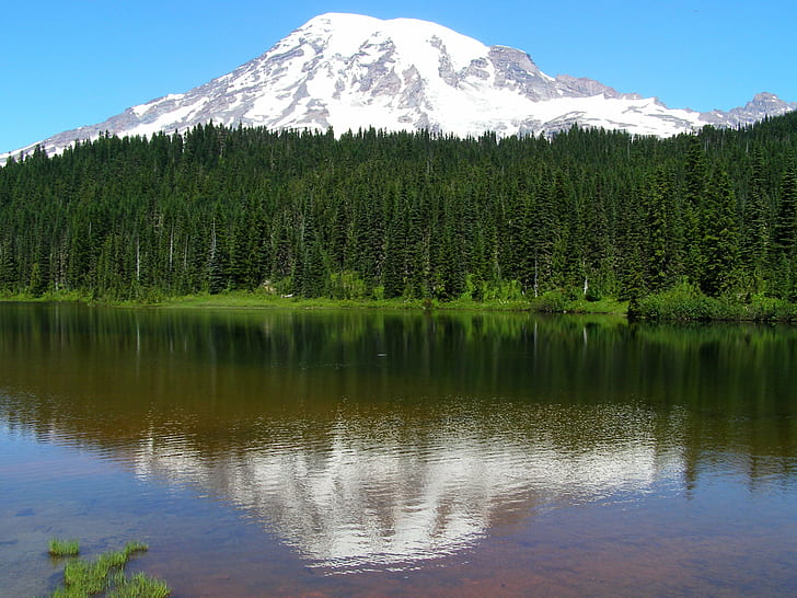snow covered mountain near green trees and lake under blue sky, mount rainier, mount rainier, Mount Rainier, snow, mountain, green, trees, lake, blue sky, Washington State, Pacific Northwest, Mt. Rainier National Park, Reflection, Lakes, evergreens, glaciers, scenic, landscape, Cascade Range, volcano  mountain, nature, scenics, forest, outdoors, water, tree, canada, summer, beauty In Nature, sky, mountain Range, HD wallpaper