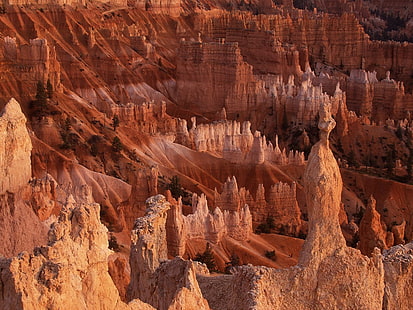 Bryce Canyon National Park, kanjoner, nationalpark, vegetation, Utah, HD tapet HD wallpaper