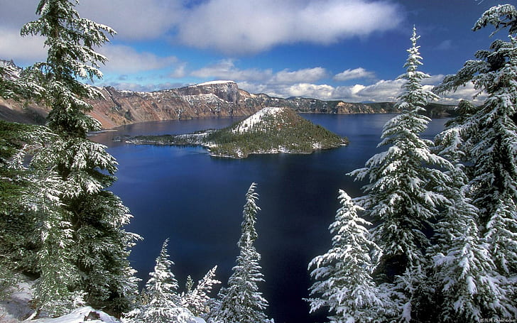 Зима L, покрити със сняг дървета в близост до водоем, пейзаж, дървета, вода, природа, сняг, зима, 3d и абстрактно, HD тапет