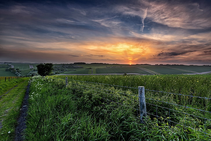road, field, summer, sunset, the fence, HD wallpaper