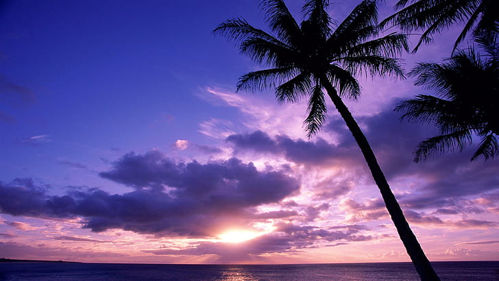 Tahitian Paradise, tahiti, nature, cloud, sunset, palm, nature and landscapes, HD wallpaper