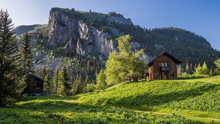 ヴァレー、スイス、アルプス、山、木、草、家、茶色の木造住宅、緑の背の高い木、ヴァレー、スイス、アルプス、山、木、草、家、 HDデスクトップの壁紙