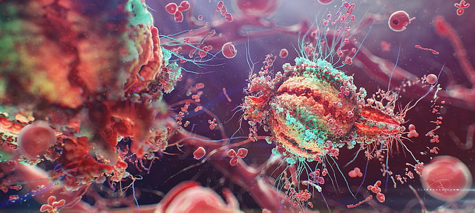 микроорганизм, разноцветные микроскопические изображения, красочный, макро, ВИЧ, клетки, болезнь, HD обои HD wallpaper