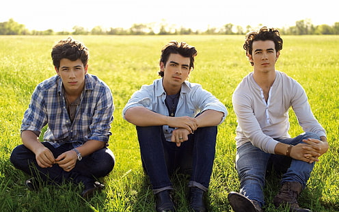 Jonas Brothers banda, jonas brothers, grama, sol, campo, olhar, HD papel de parede HD wallpaper