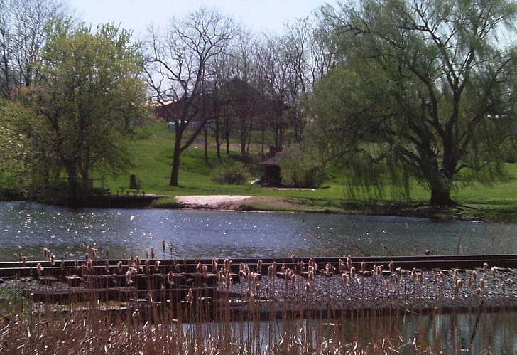 Тракове над езерце, плевня, котки, маса за пикник, влакови писти, беседка, върби, езерце, 3d и абстракт, HD тапет