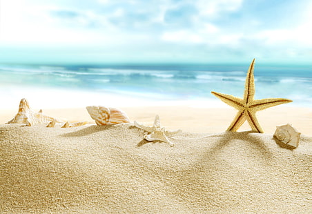 sand, sea, beach, shore, shell, summer, blue, paradise, starfish, seashells, HD wallpaper HD wallpaper