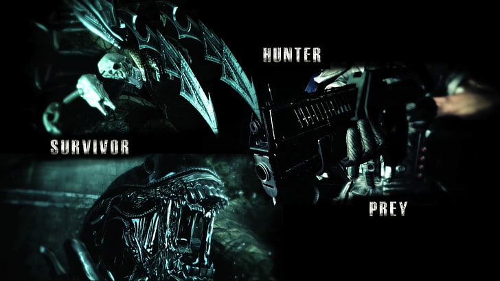 Kolaż zdjęć z filmu Alien, Predator (film), filmy, Alien (film), Tapety HD