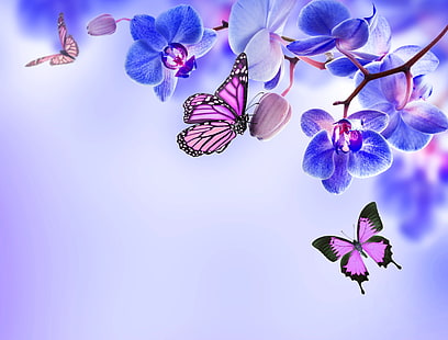 black and pink monarch butterfly and moth orchids illustration, butterfly, flowers, Orchid, blue, beautiful, butterflies, HD wallpaper HD wallpaper