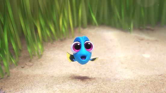 Finding Dory, Pixar Animation Studios, Disney Pixar, filmer, animerade filmer, HD tapet HD wallpaper
