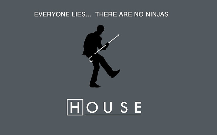 everybody, Gregory, house, Lies, m, Ninjas, HD wallpaper