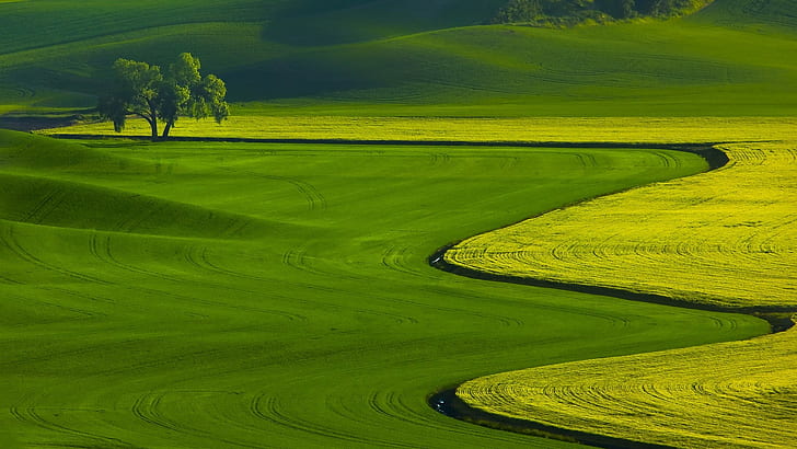 nature, landscape, trees, green, field, hills, HD wallpaper