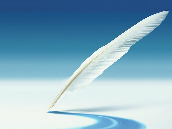 white feather, background, pen, shadow, Galaxy Note 2, HD wallpaper