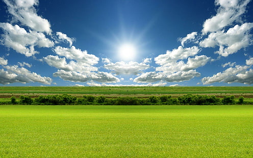 Bright Day Light, light, bright, nature and landscape, HD wallpaper HD wallpaper