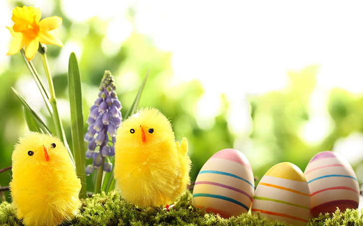 Easter Basket Decoration, easter eggs, 2014 easter, easter 2014, 2014 easter eggs, HD wallpaper