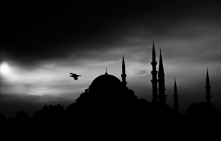 Mesquitas, Mesquita Suleymaniye, Istambul, Mesquita, Noite, Silhueta, Mesquita Süleymaniye, HD papel de parede