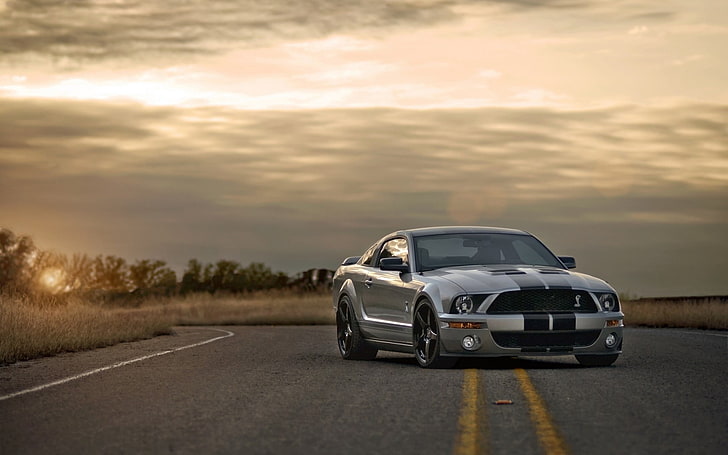 perak Ford Mustang GT500 coupe, ford, mustang, shelby, silver, muscle car, road, sunset, Wallpaper HD