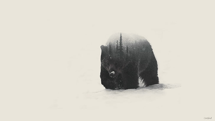 черный медведь цифровые обои, двойная экспозиция, медведи, HD обои