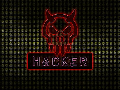 赤い頭蓋骨ハッカー、頭蓋骨、ハッカー、コンピューター、 HDデスクトップの壁紙 HD wallpaper