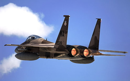 F 15 Eagle от Nellis Air Force Base HD, орел, въздух, самолети, f, сила, от, 15, база, Nellis, HD тапет HD wallpaper