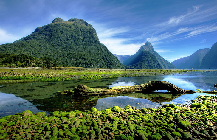 landscape, photography, nature, mountains, moss, Milford Sound, fjord, national park, New Zealand, HD wallpaper