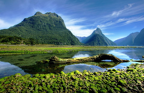 landscape, photography, nature, mountains, moss, Milford Sound, fjord, national park, New Zealand, HD wallpaper HD wallpaper