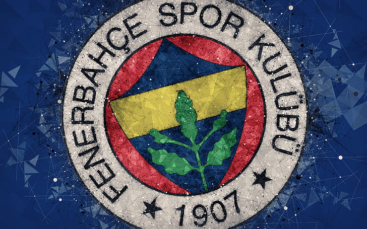 Piłka nożna, Fenerbahçe S.K., emblemat, logo, Tapety HD