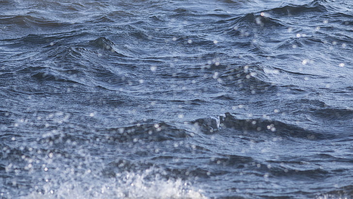 Wasser, Spritzwasser, Wellen, HD-Hintergrundbild