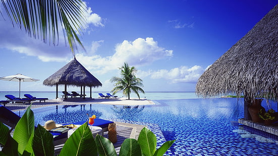 Resort, mar, palmeiras, piscina, Resort, mar, palm, árvores, piscina, HD papel de parede HD wallpaper
