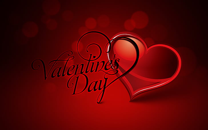 Happy Valentines Day Special HD, иллюстрация Дня святого Валентина, любовь, день, счастливый, особый день Святого Валентина, HD обои