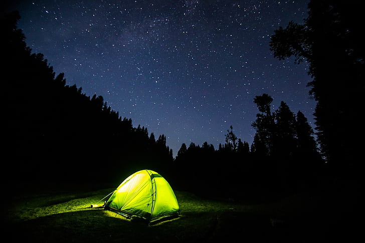 night sky, forest, trees, lights, tent, HD wallpaper