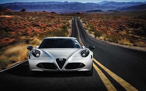 Alfa Romeo 4C 2014, gümüş renkli araba, alfa, romeo, 2014, araba, alfa romeo, HD masaüstü duvar kağıdı HD wallpaper