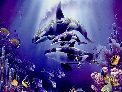 Orcas, mar, orcas, agua, ballenas, Fondo de pantalla HD HD wallpaper