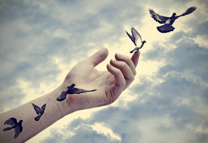 person hand, peace, freedom, tattoo, effect, hand, real, doves, arm, illusion, HD wallpaper