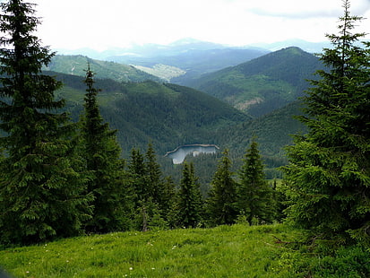 green trees, mountains, nature, lake, ate, Ukraine, Carpathians, Transcarpathia, Synevyr, HD wallpaper HD wallpaper