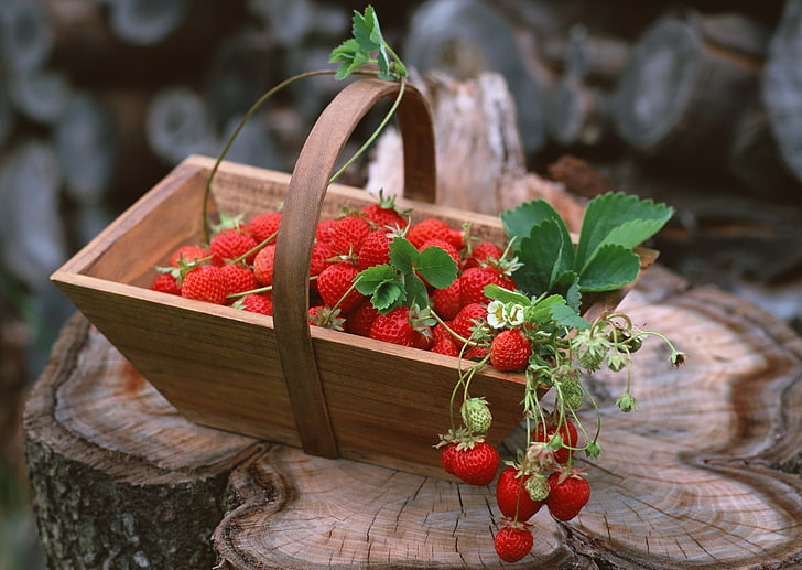 bunch of strawberries, strawberry, harvest, basket, HD wallpaper