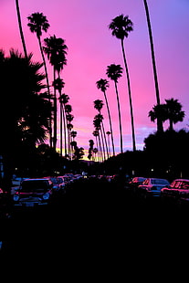 matahari terbenam, pohon-pohon palem, jalan, mobil, California, gelap, Wallpaper HD HD wallpaper
