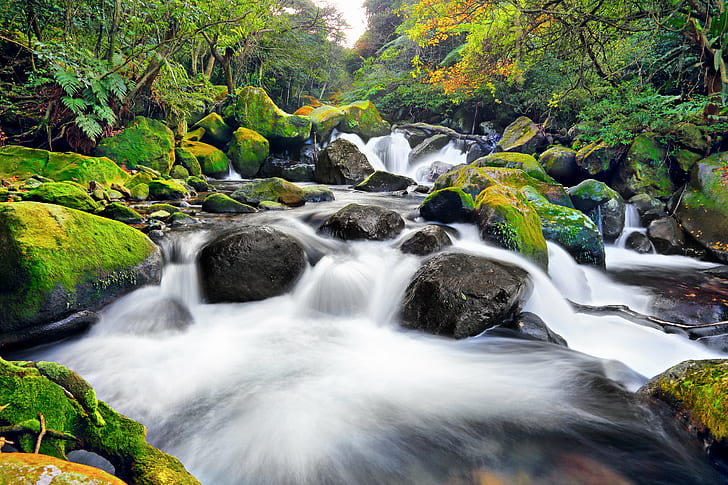 timelapse photography of spring, Take a breath, timelapse photography, spring  CREEK, STREAM, NATURE, RIVER, WATER  forest, 溪瀑, 溪曝, 溪谷, 自然, Taiwan, Hiking, Brook, Moss, stone, Landscape, waterfall, forest, tree, leaf, water, freshness, rock - Object, scenics, outdoors, tropical Rainforest, beauty In Nature, autumn, green Color, HD wallpaper