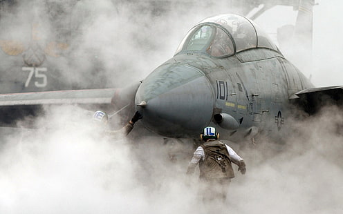 сив боен самолет, самолет, военен, реактивен изтребител, F-14 Tomcat, Grumman F-14 Tomcat, военен самолет, HD тапет HD wallpaper