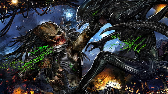 Predatore, Alieno contro Predatore, Xenomorfo, Sfondo HD HD wallpaper