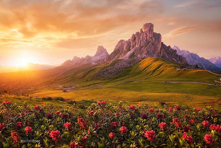 Carsten Bachmeyer, landscape, hills, cliff, grass, flowers, horizon, sun rays, sky, clouds, sunlight, HD wallpaper