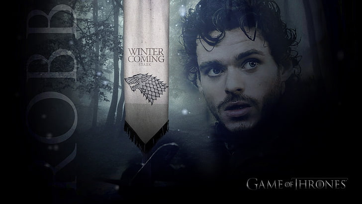 Game of Thrones Winter is Coming digital tapet, Game of Thrones, Robb Stark, HD tapet